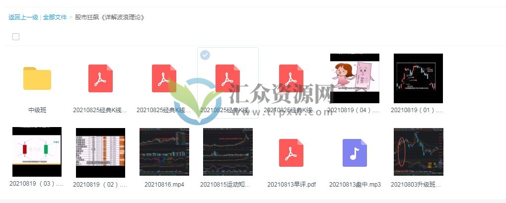 股市狂飙波浪理论详解视频课程(视频＋讲义＋盘中音频) 百度云下载插图