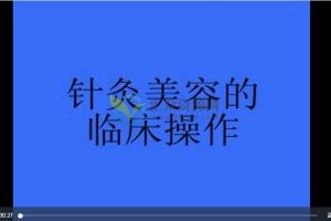 针灸减肥美容临床操作视频课（治疗常见病、头疼、黄褐斑、座疮、减肥）