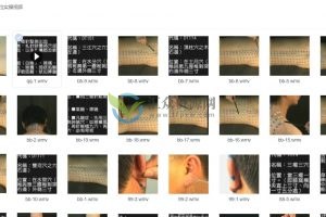 董氏奇穴穴位实操视频