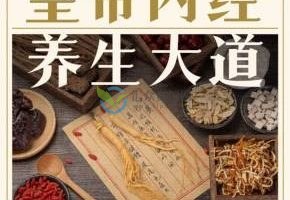 黄帝内经养生大道音频讲座78讲全（已完结）