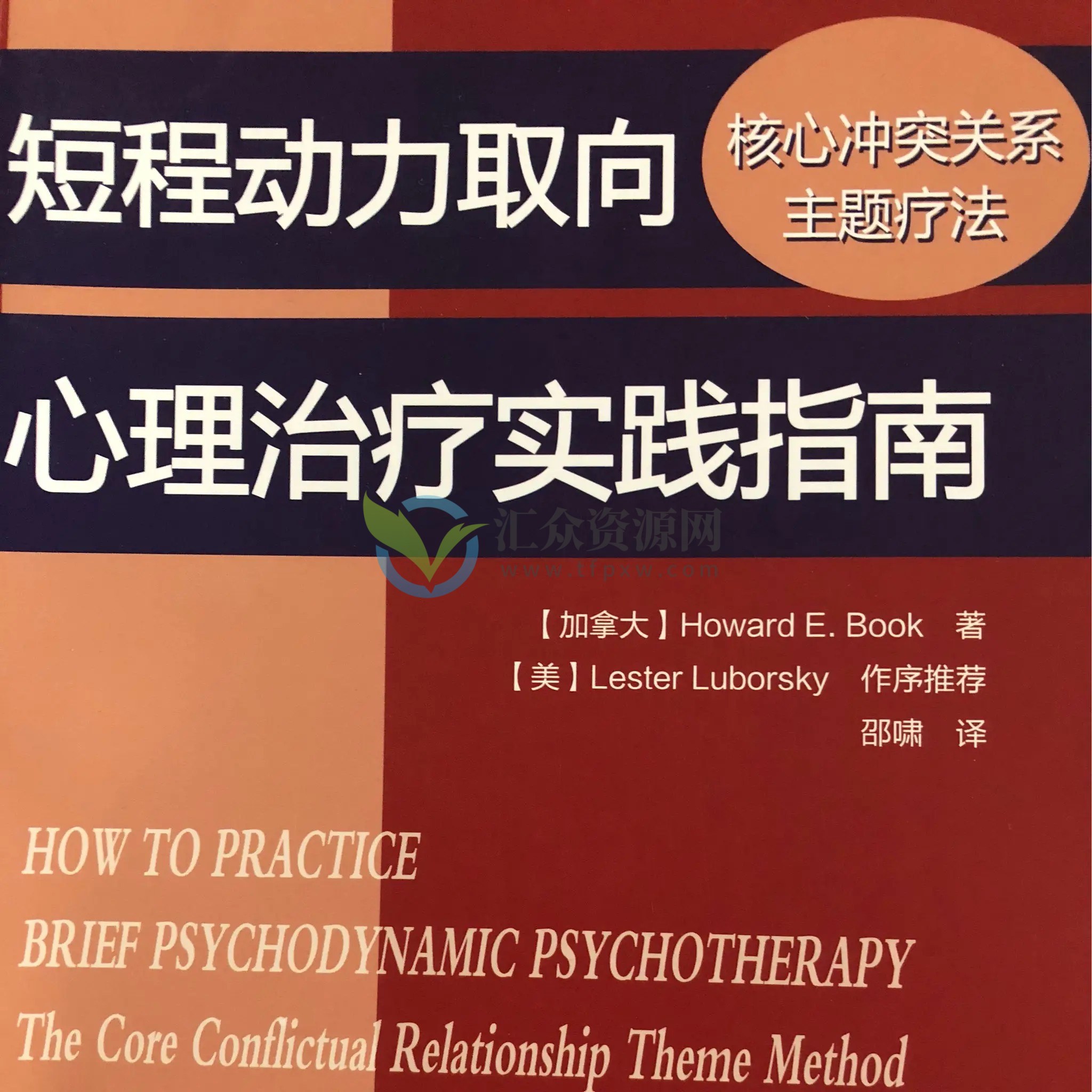 《短程动力取向心理治疗实践指南》读书会插图