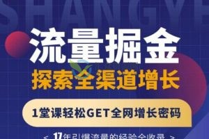 张琦《流量掘金探索全渠道增长》实战方法助力精准获客,全渠道增长