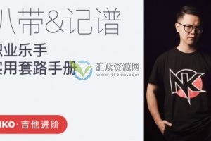 【哎呀音乐】职业乐手实用套路：扒带记谱 - Niko小烨