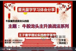 江宇龙（枫林阳）年王子量学理论实践教学基地第19期（学习体会+分享答疑） 百度网盘下载