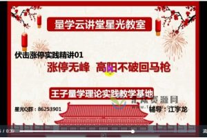 江宇龙（枫林阳）伏击涨停系列视频课程 百度网盘下载