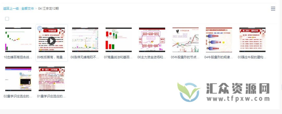 江宇龙（枫林阳）《王子量学理论实践》第12期课程 百度网盘下载插图