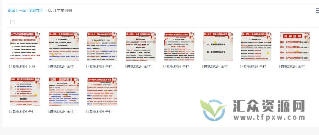 江宇龙（枫林阳）《王子量学理论实践》第14期课程 百度网盘下载插图