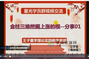 江宇龙（枫林阳）《王子量学理论实践》第14期课程 百度网盘下载