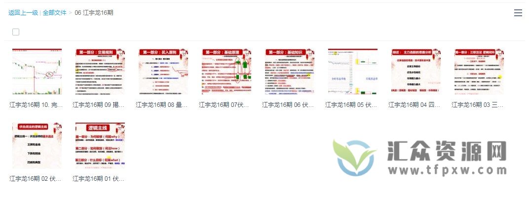 江宇龙（枫林阳）《王子量学理论实践》第16期课程 百度网盘下载插图
