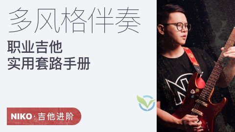 【哎呀音乐】Niko小烨-职业吉他实用套路手册：多风格伴奏篇插图