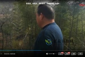 张少波老师《天星阴阳宅风水寻龙点穴》57节视频