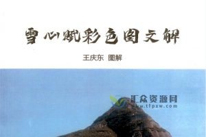 易海神针王庆东著《雪心赋彩色图文解》PDF电子书156页 百度网盘下载