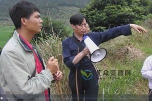 明师苑老师-实战现场寻龙点穴视频46集百度网盘下载