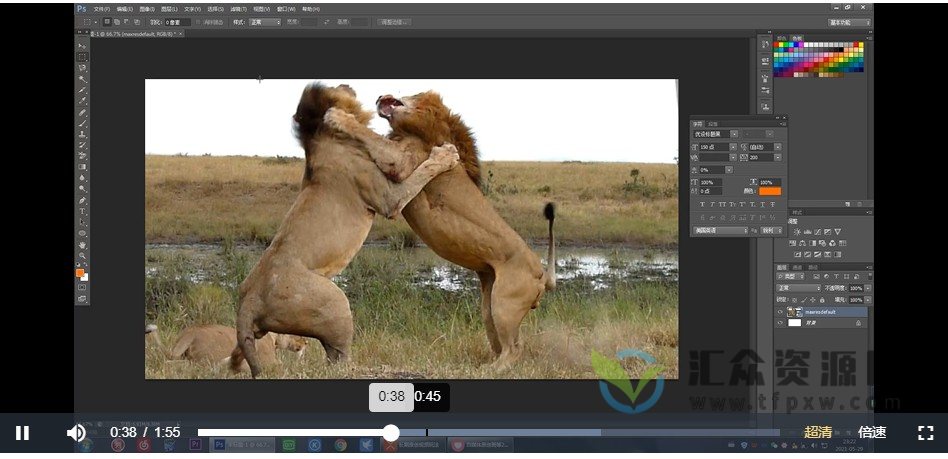 0投资正规原创自媒体项目操作教程（附软件和模板）插图