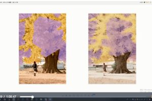 2021年冷风ipad插画课-水彩风景进阶