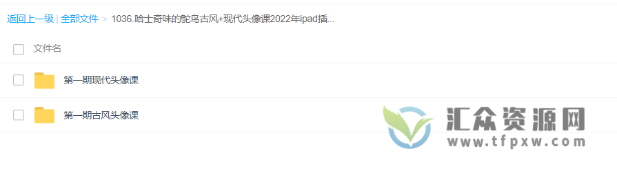 哈士奇味的鸵鸟2022年ipad插画第1期 古风头像课+现代头像课插图 哈士奇味的鸵鸟2022年ipad插画第1期 古风头像课+现代头像课插图