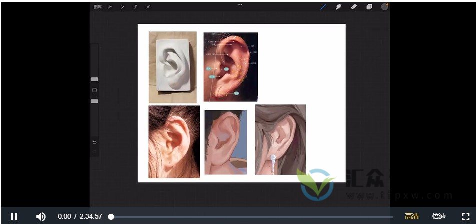哈士奇味的鸵鸟2022年ipad插画第1期 古风头像课+现代头像课插图1 哈士奇味的鸵鸟2022年ipad插画第1期 古风头像课+现代头像课插图1