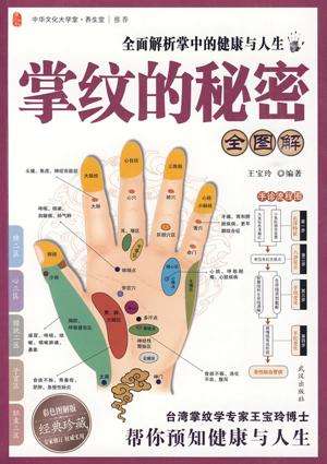 《城市》掌纹的秘密