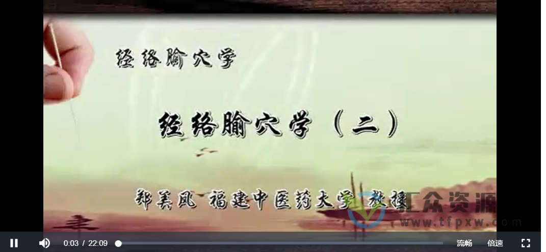 福建中医药大学郑美凤《经络腧穴学》51讲插图 福建中医药大学郑美凤《经络腧穴学》51讲插图