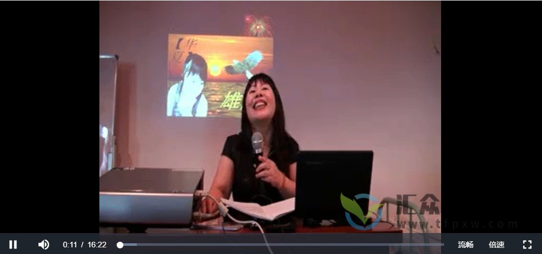 华厦雄鹰精针视频讲座插图