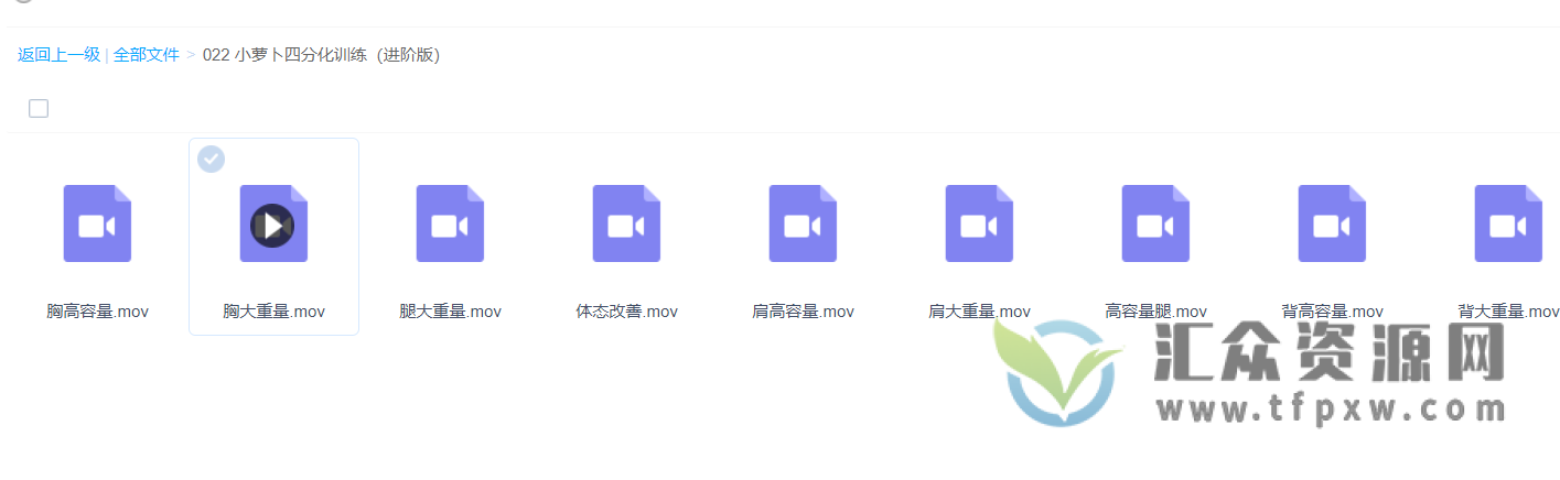 小萝卜四分化训练课程(进阶版),完整的训练计划,突破瓶颈的机会,轻松的增肌课程插图1 小萝卜四分化训练课程(进阶版),完整的训练计划,突破瓶颈的机会,轻松的增肌课程插图1