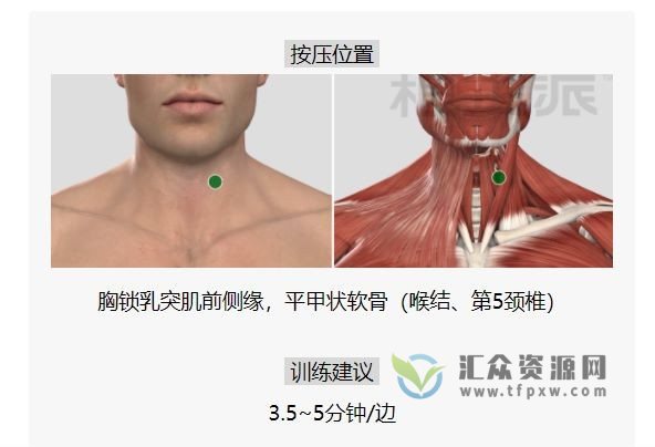 2021年根正派《28天躯干矫正营》视频课程（附课件）插图