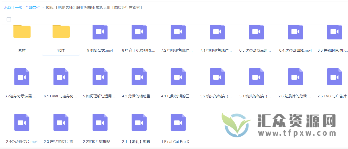 【鹏鹏老师】职业剪辑师-成长大班课程（视频+素材+软件）插图