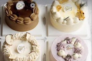 6款顺滑稳定百变调味奶油装饰 视频教学