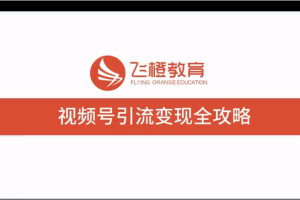 《抓住微信红利，视频号引流变现全攻略》视频课程14讲