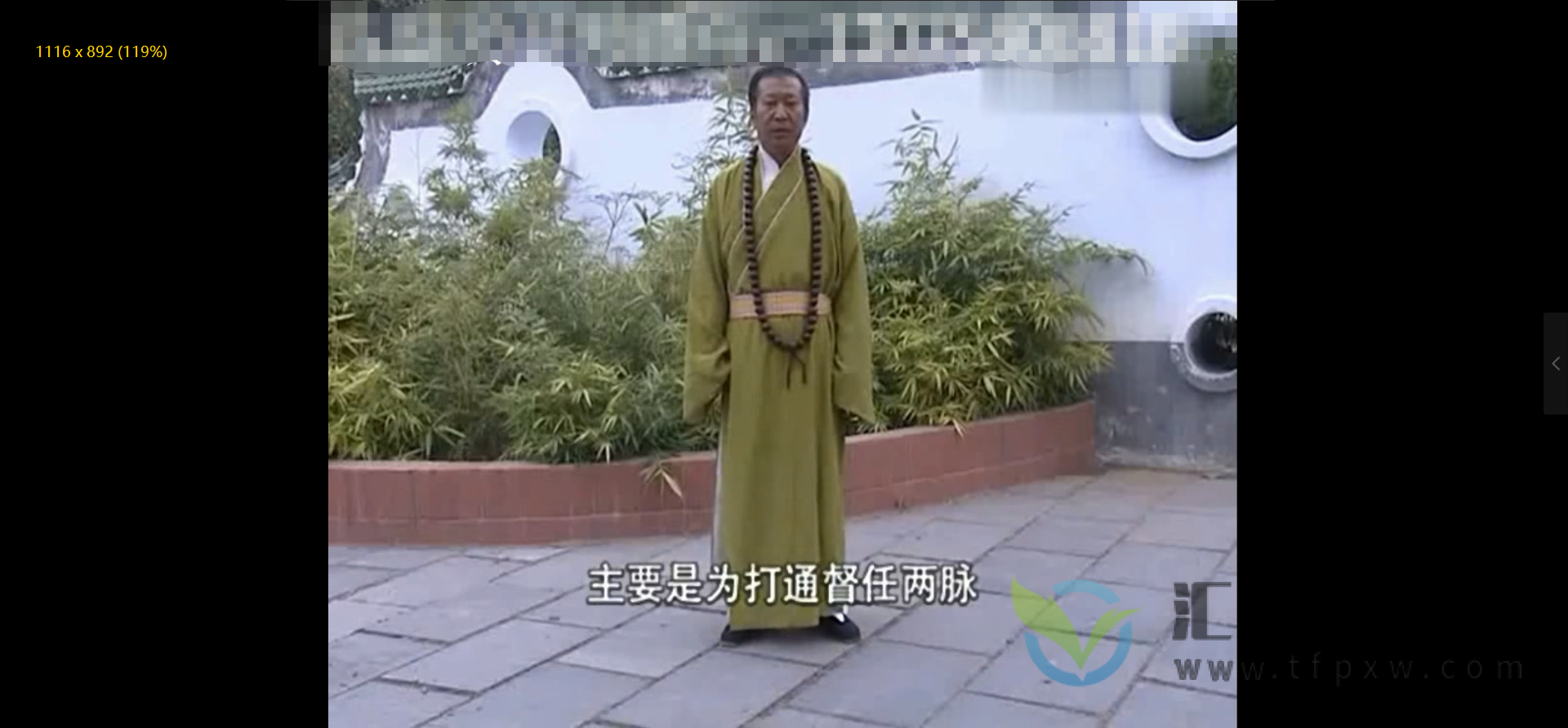 道家洗髓功法多套资料合集（视频+PDF资料）