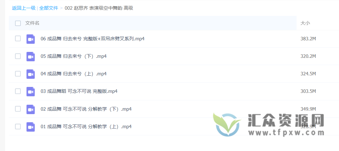 赵思齐表演级空中舞韵高级课程插图2