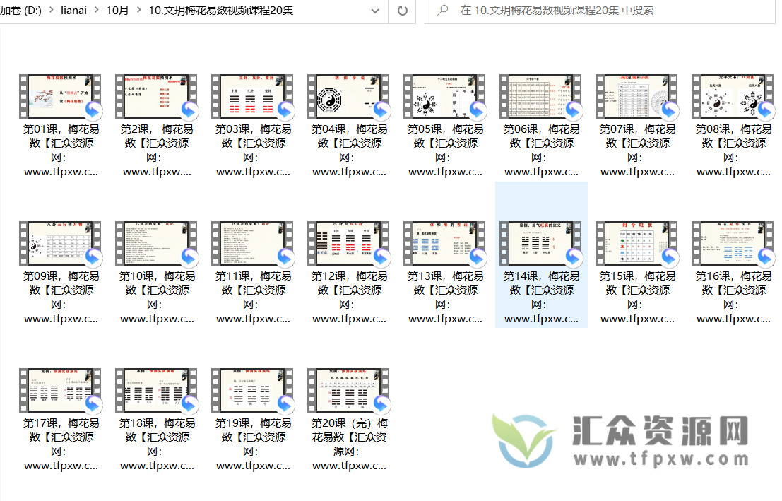 文玥梅花易数视频课程20集插图