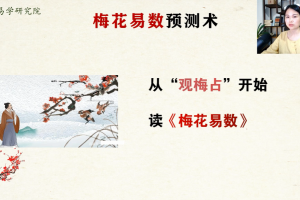 文玥梅花易数视频课程20集