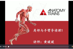 解剖列车-肩部与手臂、头颈下颌
