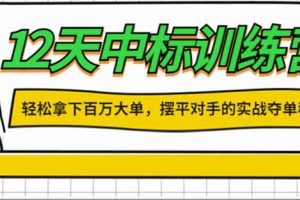 《12天中标训练营》轻松拿下百万大单，摆平对手的实战夺单秘笼