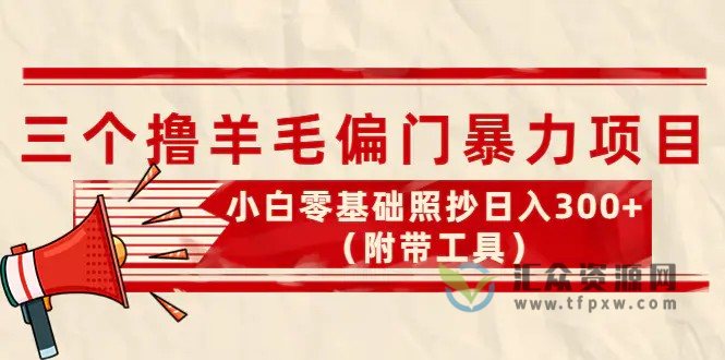3个偏门撸金项目，正常一天日入300+轻轻松松插图