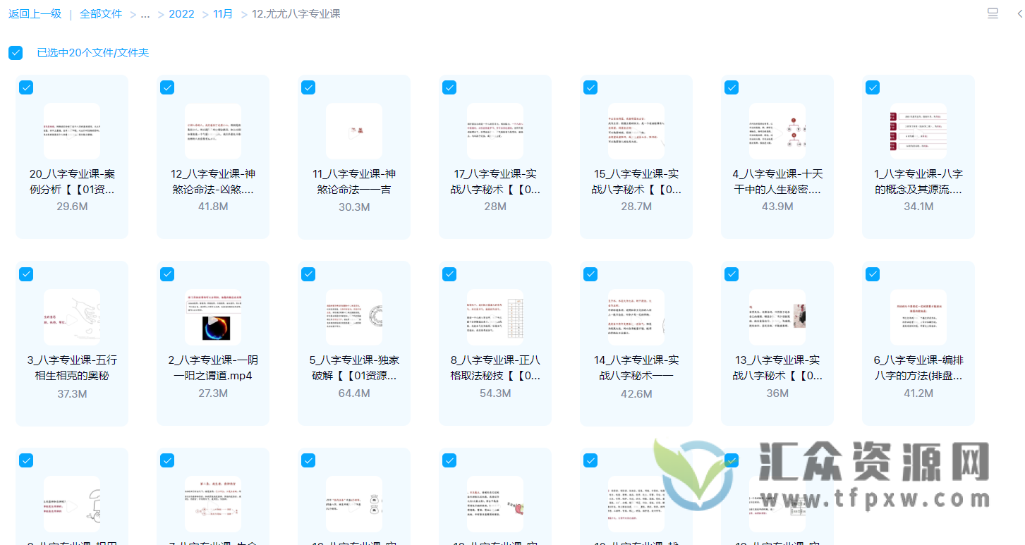 尤尤老师八字专业课视频20讲插图1