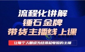 锤石传媒金牌主播线上课，让每个人成为经得起考验的主播