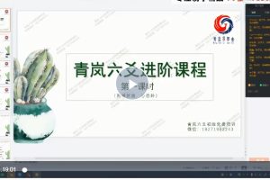 青岚六爻卦全套视频课（程理论20讲+卦例25讲+实战课20讲）