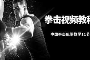 中国拳击冠军－11节拳击视频教程