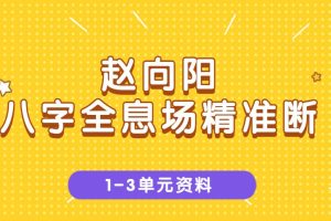赵向阳《八字全息场精准断》1-3单元资料