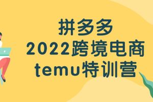 拼多多2022跨境电商temu特训营