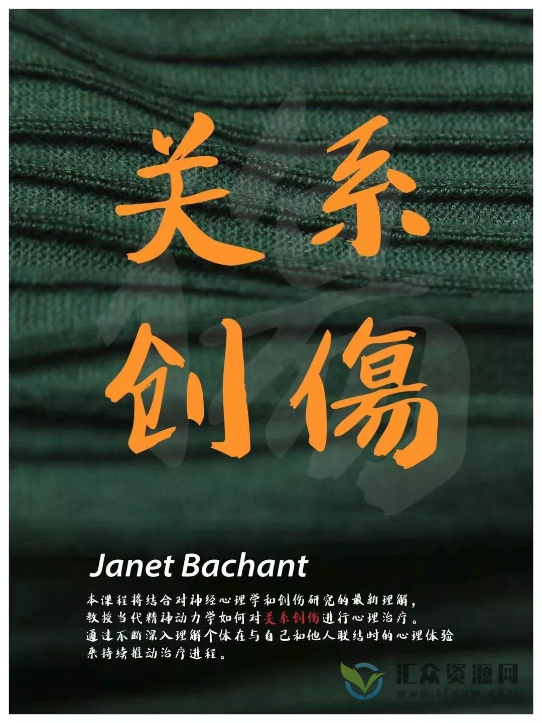 janet《关系创伤的动力学治疗全过程及临床操作步骤》18讲视频插图