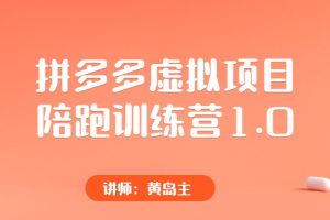 黄岛主《拼多多虚拟项目陪跑训练营1.0》视频教程
