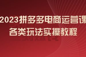 2023拼多多电商运营课，各类​玩法实操视频教程