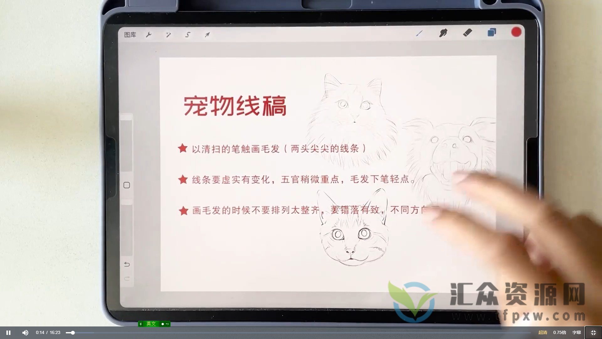 艺琳2022零基础ipad宠物绘画课（视频+素材+笔刷）插图