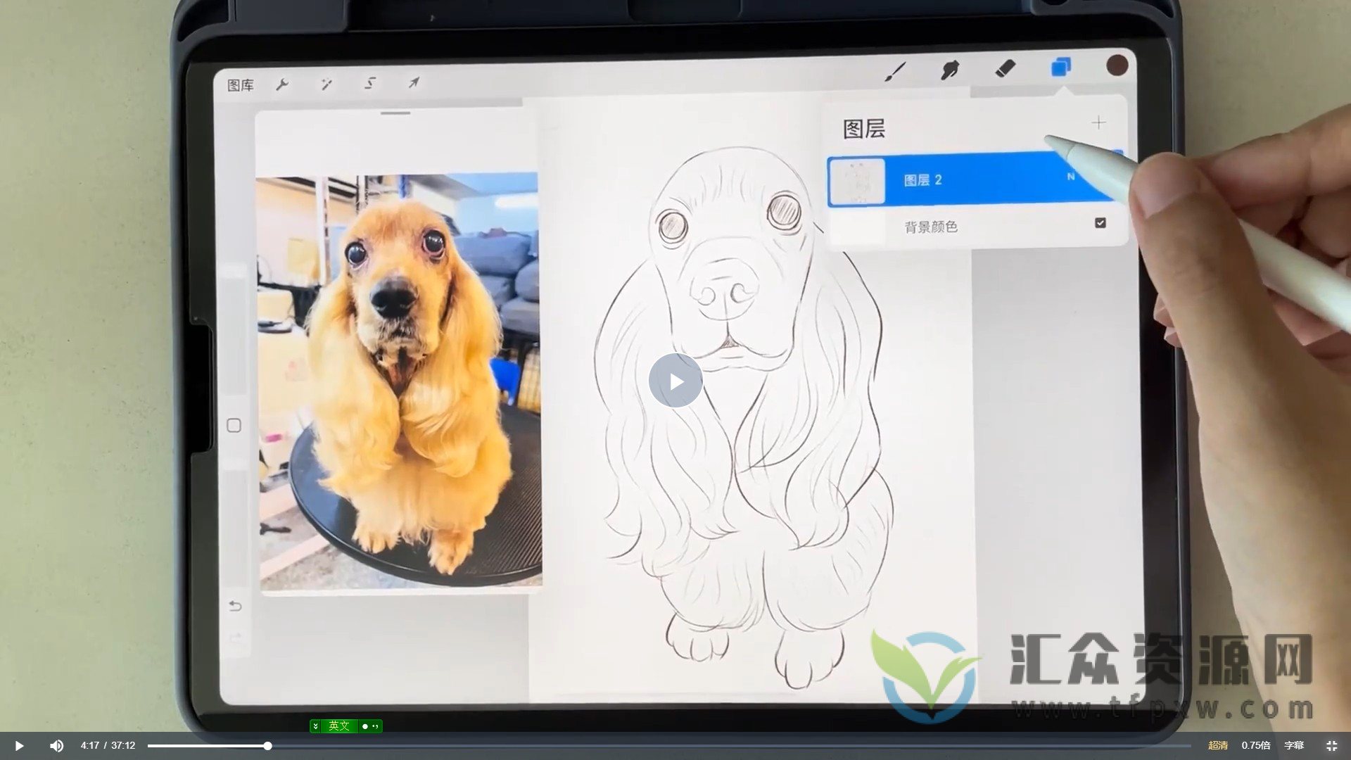 艺琳2022零基础ipad宠物绘画课（视频+素材+笔刷）插图1