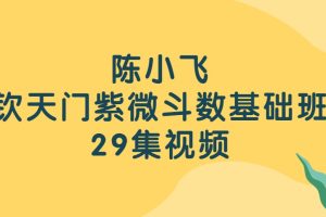 陈小飞 钦天门紫微斗数基础班视频课程29集
