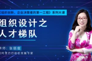 《张丽俊：组织设计之人才梯队》组织创新企业决策者的第一工程
