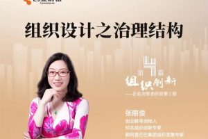 张丽俊：组织设计之治理结构（视频课）